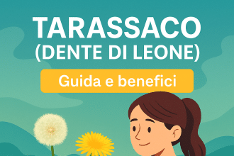 tarassaco
