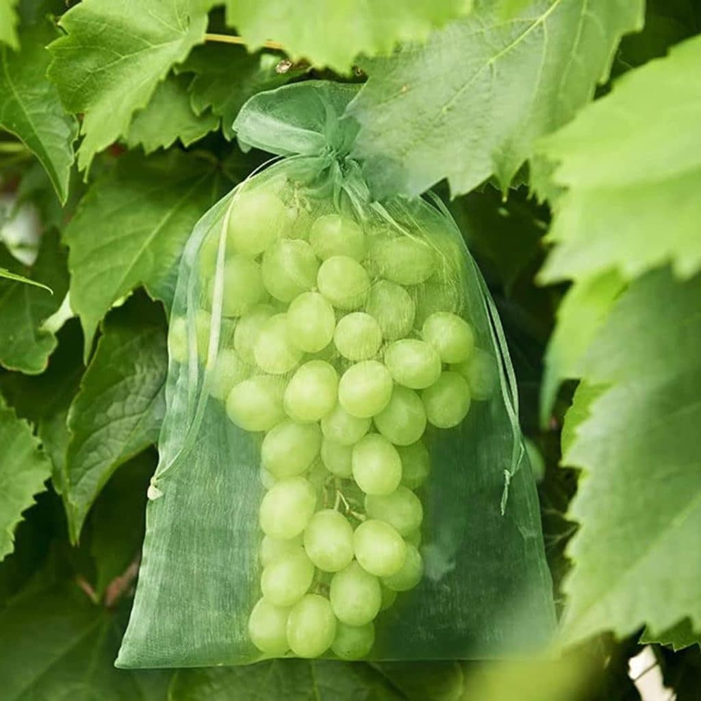 Pomodori 70 Pezzi Sacchetti Protezione Frutta,Sacchetti Rete Frutta,Sacchetto di Protezione Dell'Uva con Coulisse 20x 30cm,Sacchetti Protezione Frutta per Uva...