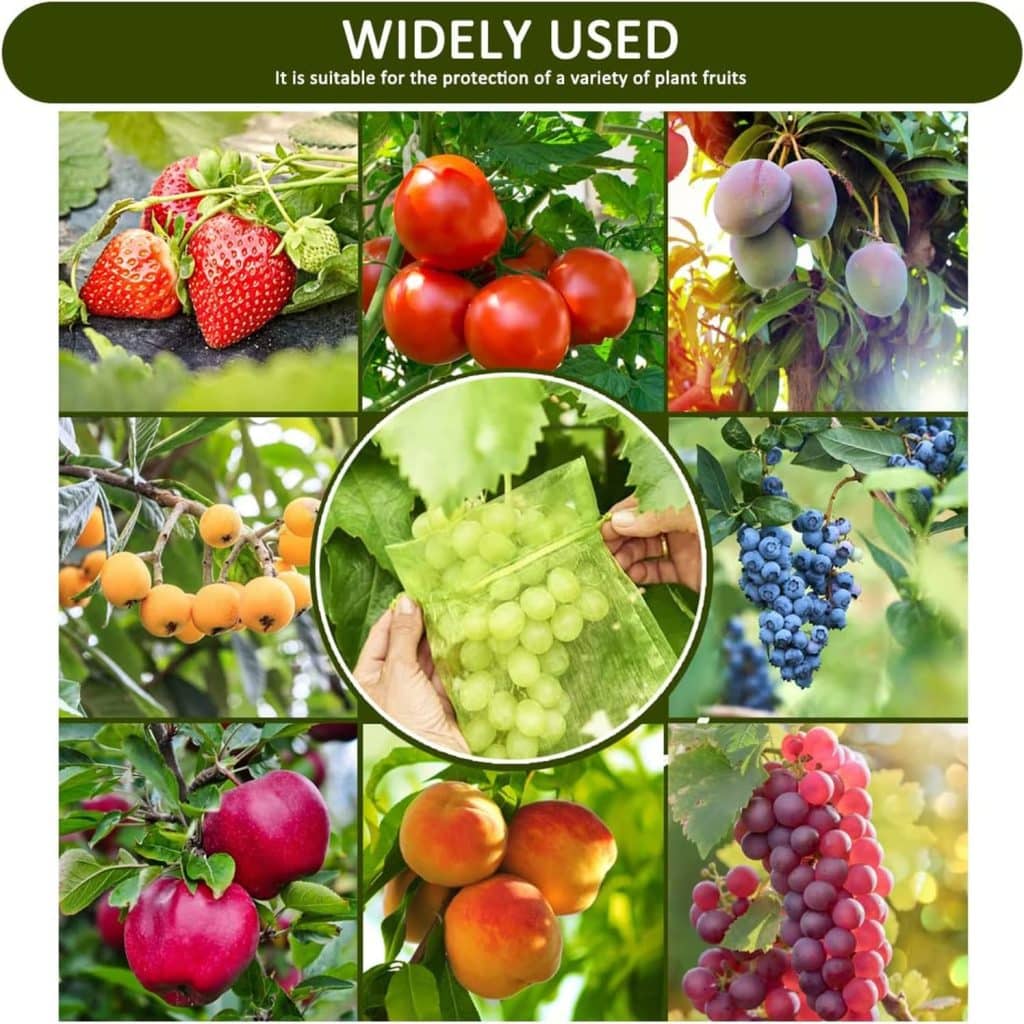 70 Pezzi Sacchetti Protezione Frutta,Sacchetti Rete Frutta,Sacchetto di Protezione Dell'Uva con Coulisse 20x 30cm,Sacchetti Protezione Frutta per Uva...