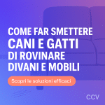 cani e gatti