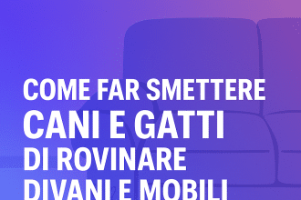 cani e gatti
