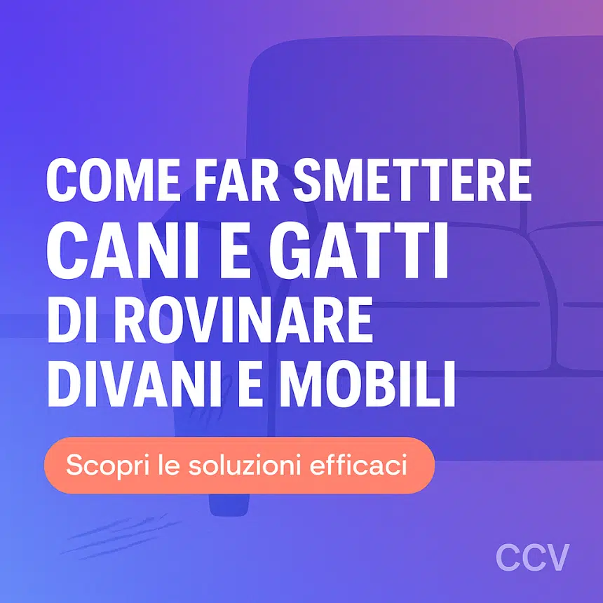 cani e gatti