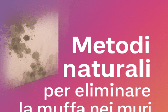 muffa eliminare in casa rimedi naturali