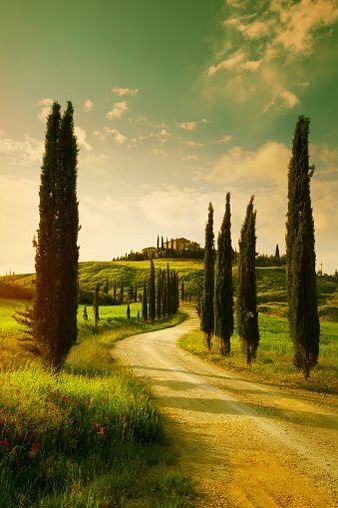 Viale di cipressi in Toscana al tramonto con strada sterrata che porta a un casolare.