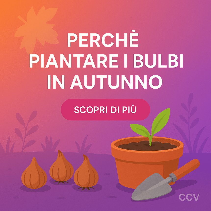 giardino balcone autunno cosa piantare ora
