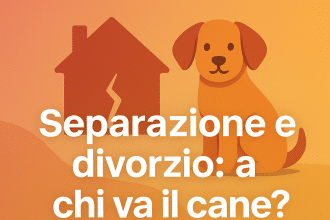 separazione a chi va cane